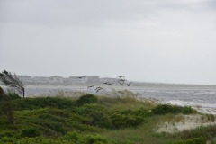 emw_20180802_095825_OIB_2018_0189