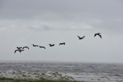emw_20180802_095836_OIB_2018_0198