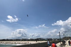 emw_20180820_135044_iPhone_Misc_0049