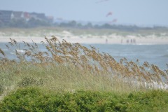 emw_20190808_123419_OIB_2019_0036
