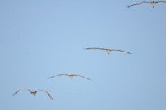 emw_20190808_124541_OIB_2019_0224