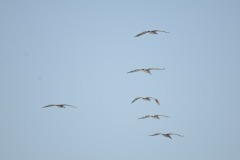 emw_20190808_124548_OIB_2019_0230