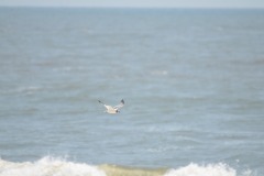 emw_20190808_124714_OIB_2019_0253