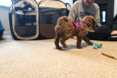 What does she see?