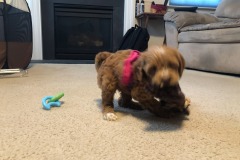 Uh-oh...here she comes! Uh-oh...here she comes!