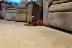 Pretty girl! Pretty girl!