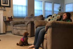 Sitting pretty for her mistress!