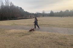 Who is walking who? Who is walking who?