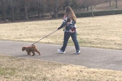 Who is walking who? Who is walking who?