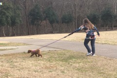 Who is walking who? Who is walking who?