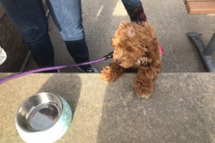 Belly up to the bar! Belly up to the bar!