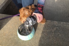 Belly up to the bar! Belly up to the bar!