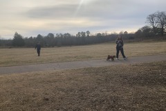 Lovely day to be outpaced by a puppy! Lovely day to be outpaced by a puppy!