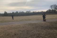 Lovely day to be outpaced by a puppy! Lovely day to be outpaced by a puppy!