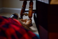 Someone playing peek-a-boo! Someone playing peek-a-boo!