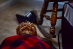 Someone playing peek-a-boo! Someone playing peek-a-boo!