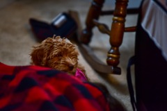 Someone playing peek-a-boo! Someone playing peek-a-boo!