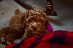 What are you doing? What are you doing?