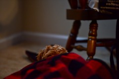 Mistletoe does "Kilroy Was Here"! Mistletoe does "Kilroy Was Here"!