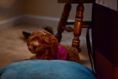 Just chilling out... Just chilling out...