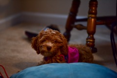 Just chilling out... Just chilling out...