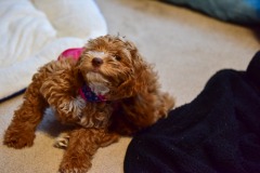 Bit of an itch! Bit of an itch!