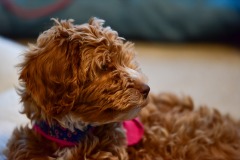 She's so cute! She's so cute!