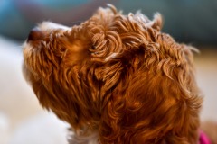 She's so cute! She's so cute!