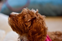 She's so cute! She's so cute!