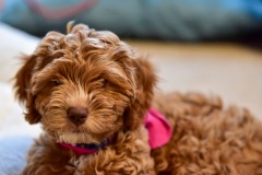 She's so cute! She's so cute!