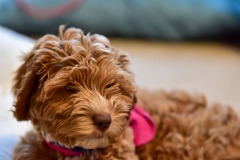 She's so cute! She's so cute!