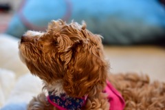 She's so cute! She's so cute!