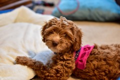 Someone hears a sound she likes! Someone hears a sound she likes!