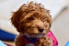 Someone hears a sound she likes! Someone hears a sound she likes!