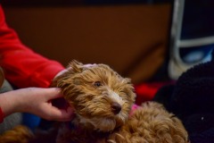 She's such a love muffin! She's such a love muffin!