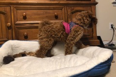 Don't do it!  It's a trap!  :) Don't do it!  It's a trap!  :)