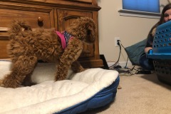 Don't do it!  It's a trap!  :) Don't do it!  It's a trap!  :)