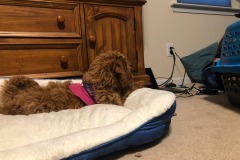 Don't do it!  It's a trap!  :) Don't do it!  It's a trap!  :)