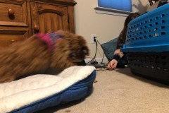 Don't do it!  It's a trap!  :) Don't do it!  It's a trap!  :)