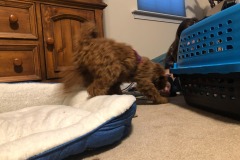 Don't do it!  It's a trap!  :) Don't do it!  It's a trap!  :)