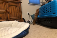 Don't do it!  It's a trap!  :) Don't do it!  It's a trap!  :)