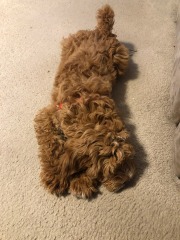 So cute!