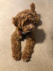 So cute!