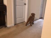 Wot's going on 'ere?
