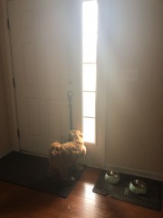 Ringing the potty bell with authority!