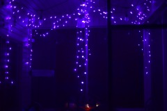 Purple sparkly lights! Purple sparkly lights!