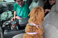 Pilot has gone to the dogs... ;) Pilot has gone to the dogs... ;)
