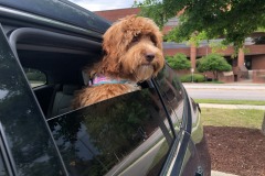Seriously...can't you people give me some wind?!? :) Seriously...can't you people give me some wind?!? :)