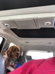 She's going to need a bigger lap... ;)