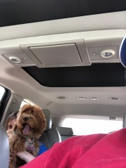 She's going to need a bigger lap... ;)